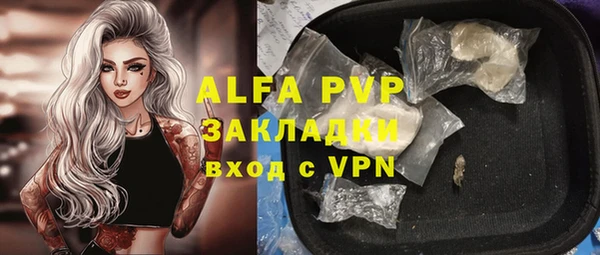 a pvp Алзамай