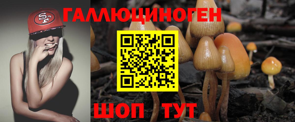 Псилоцибиновые грибы мухоморы  Вход с VPN  Фролово 